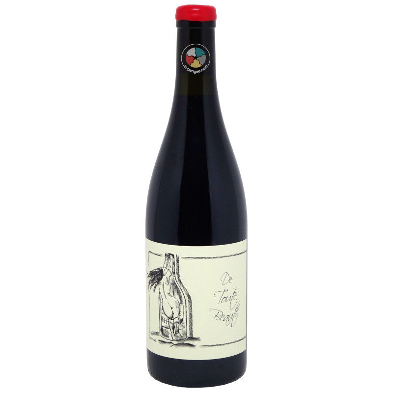 Domaine Anne et Jean-Francois Ganevat, De toute beauté 2024, Gamay, cépages jurassiens, Rouge,Rotalier, Jura, France