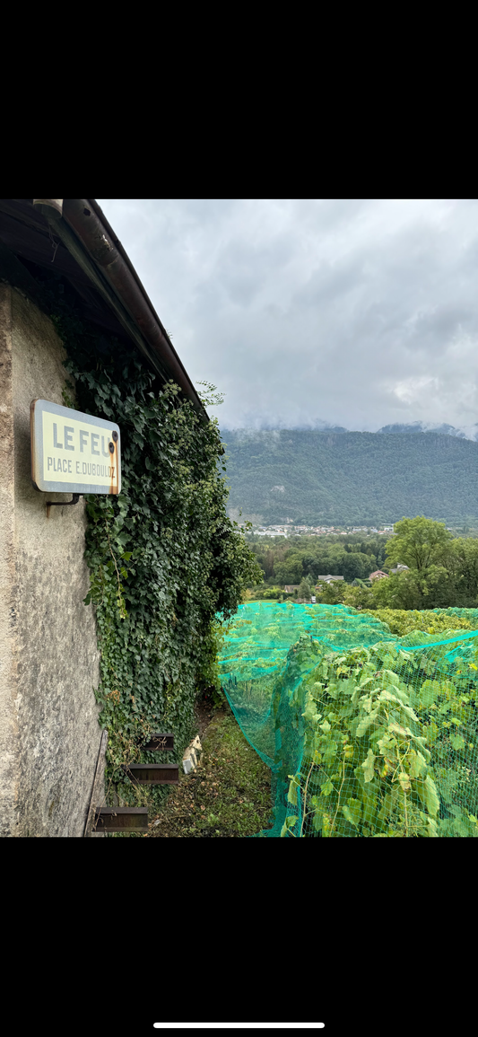 Domaine du Gringet, Le Feu 2023, Gringet, Blanc, Savoie, France