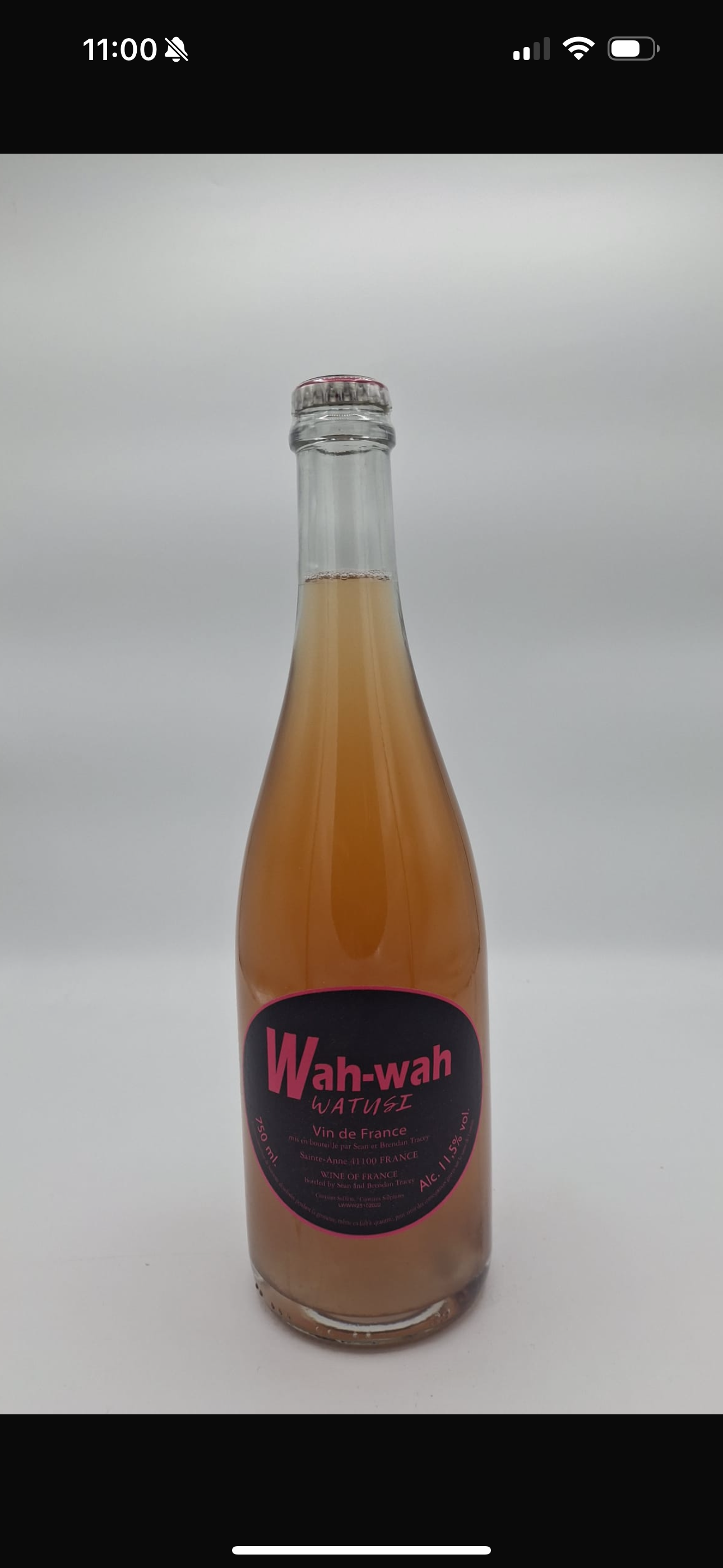 Domaine Brendan Tracey, Loire, Wah-Wah Watusi 2022, Pineau d’Aunis, Gamay, PetNat, Loire, France