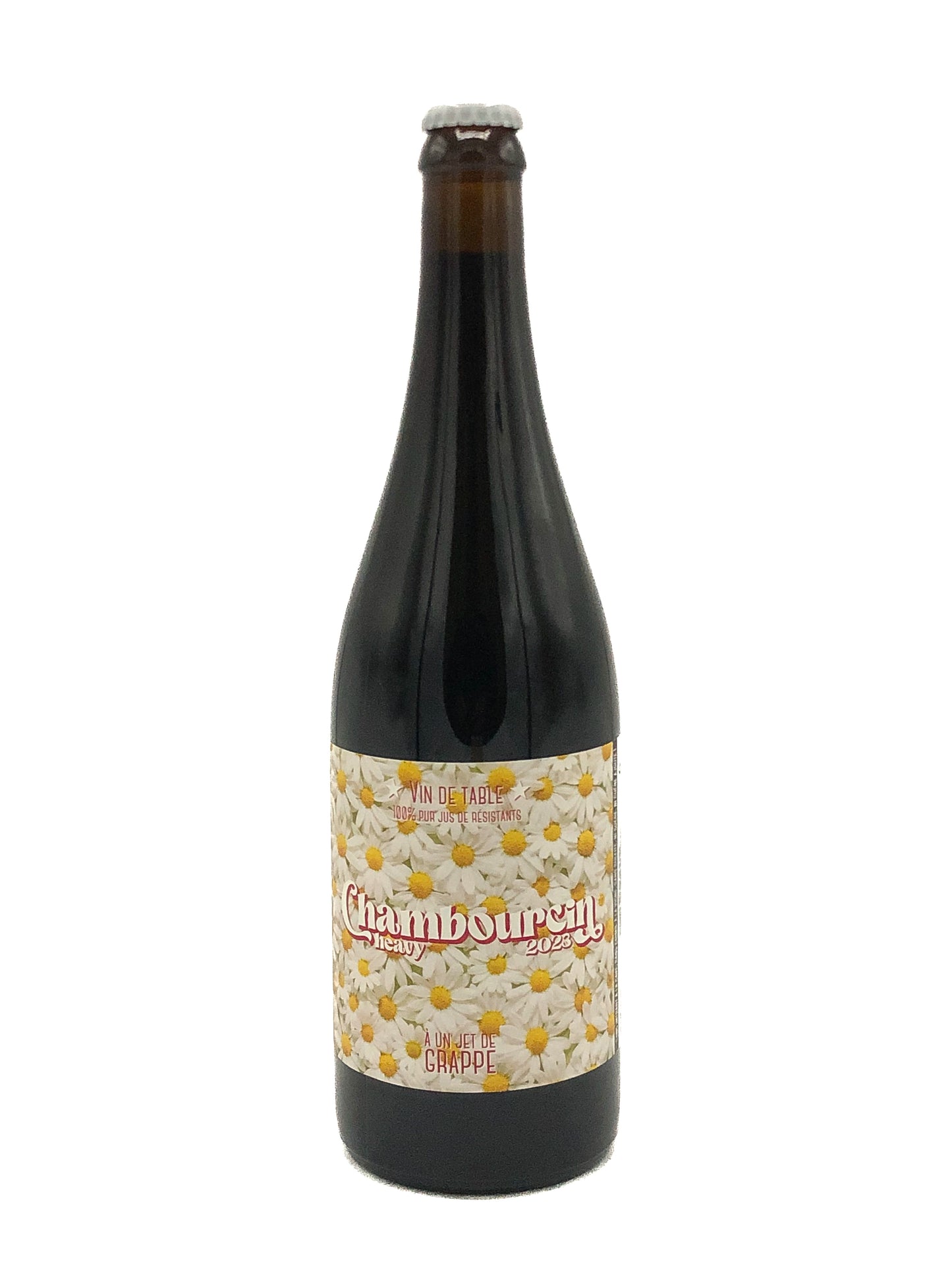 Domaine Les Pieds dans la Dyle, Pablo Cremers, Chambourcin Heavy 2023, Hybride, Rouge, Wavre, Belgique