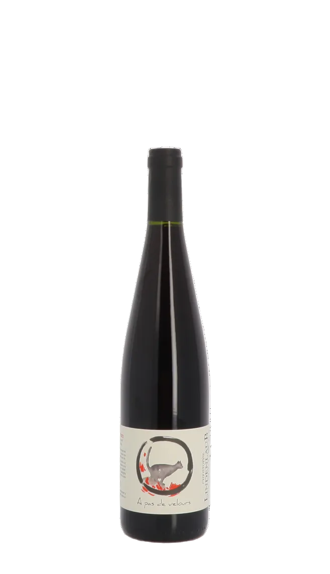 Domaine Christophe Lindenlaub, À pas de velours 2024, Pinot Noir, Rouge, Alsace, France