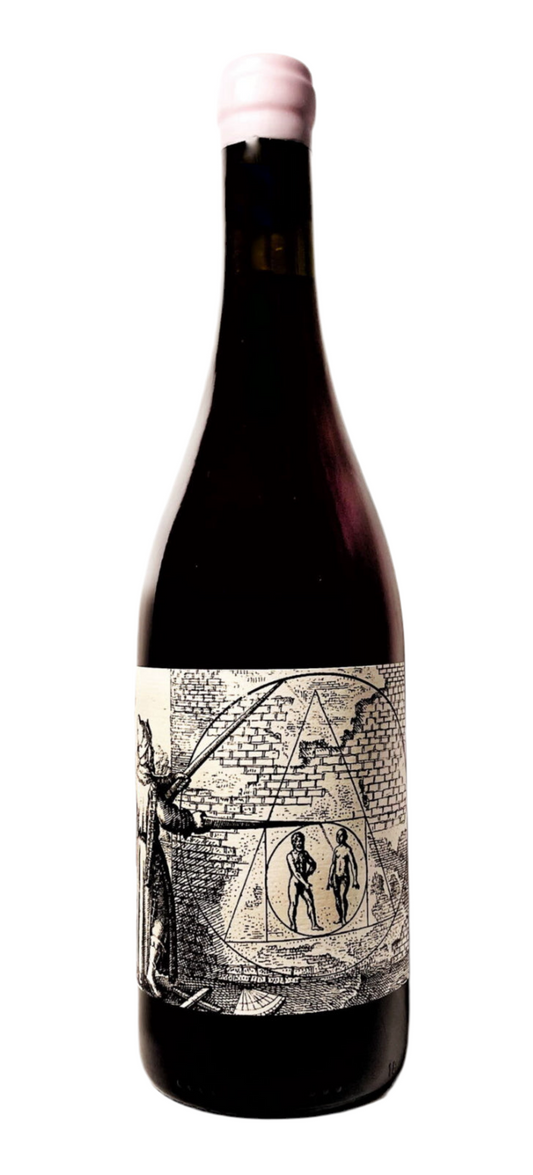 Domaine de Vincent Ruiz, À mon ami Faust 2023, Cinsault, Rouge, Ardèche, France