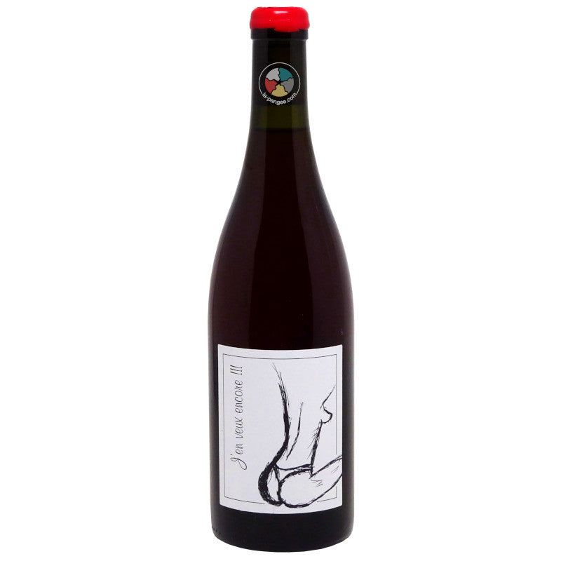 Domaine Anne et Jean-François Ganevat, J’en veux encore 2024, Gamay et vieux cépages jurassiens, rouge, rotalier, Jura, France