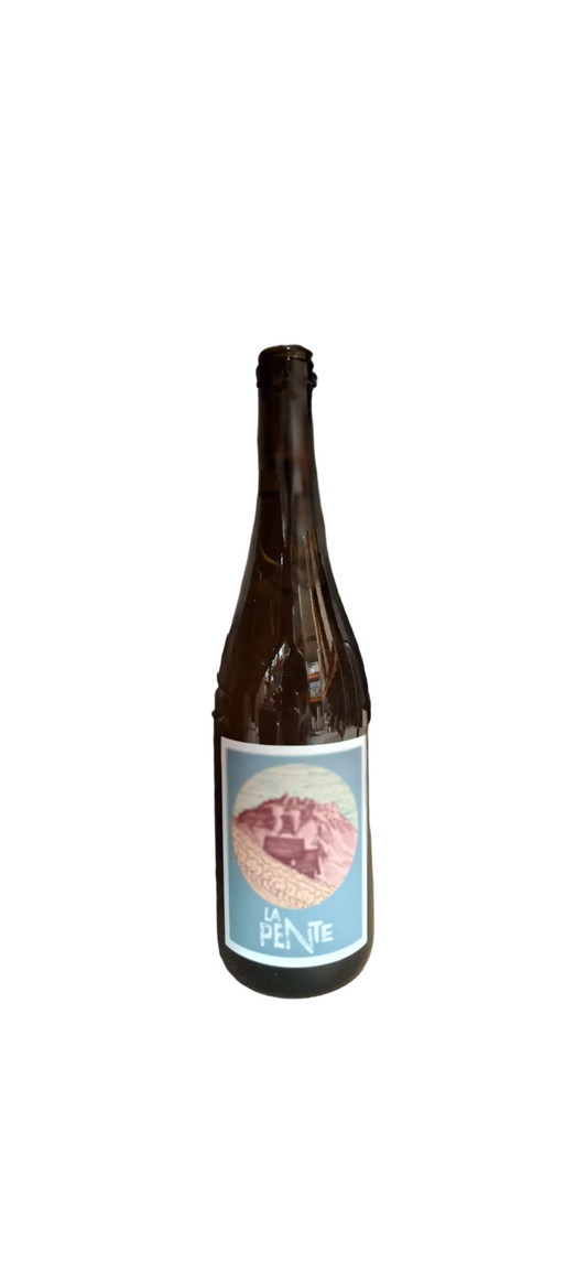 Domaine des Côtes Rousses, la Pente 2024, Jacquere, Blanc, Savoie, France