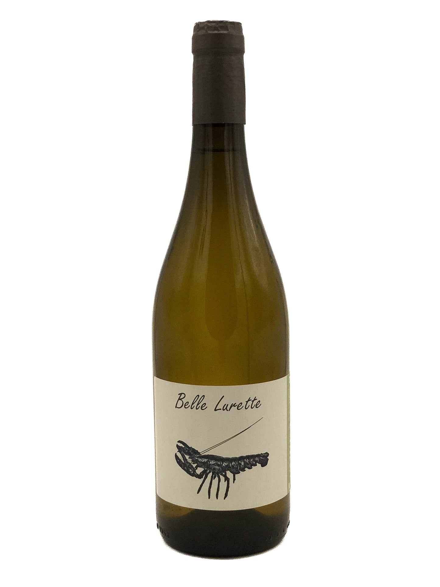 Domaine de la Belle, Famille Vazeux, Belle Lurette 2023, Sauvignon, Blanc, Sud Ouest, France