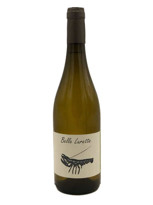 Domaine de la Belle, Famille Vazeux, Belle Lurette 2023, Sauvignon, Blanc, Sud Ouest, France