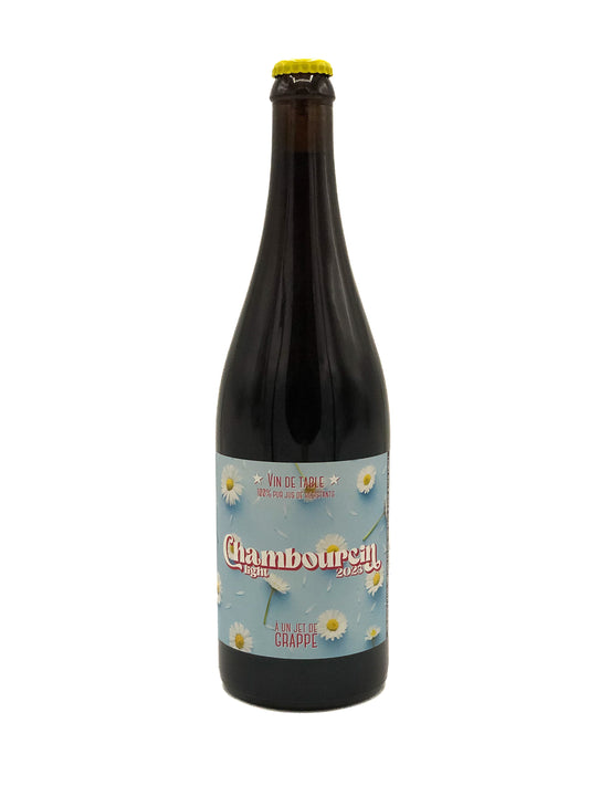 Domaine Les Pieds dans la Dyle, pablo Cremers, Chambourcin Light 2023, Hybride, Rouge, Wavre, Belgique
